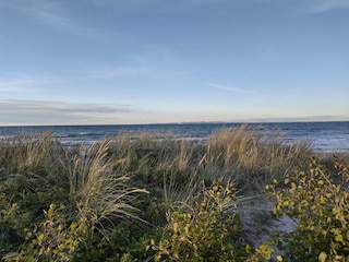 Holiday house Hornbæk  20