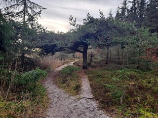 Maison de vacances Hals  19