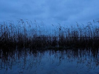 Casa per le vacanze Hals  29