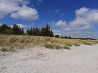 Vakantiehuis Hals  36