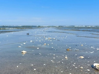 Maison de vacances Hals  16