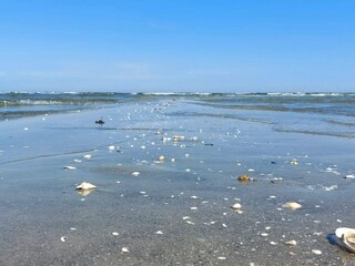 Vakantiehuis Hals  16