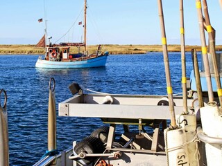 Apartment Wendtorf  39