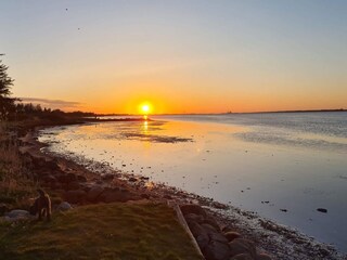 Maison de vacances Egense  35