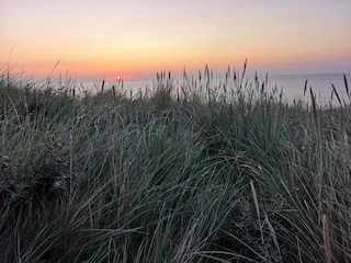 Ferienhaus Toftum  21