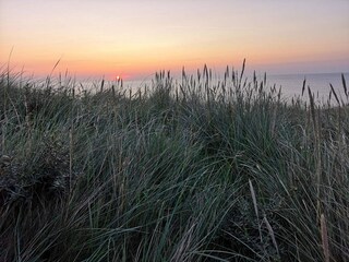 Maison de vacances Toftum  7