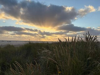 Vakantiehuis Lakolk  14