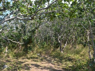 Maison de vacances Ebeltoft  14