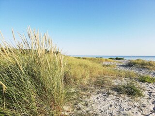 Holiday house Ebeltoft  11