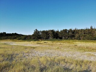 Casa per le vacanze Ebeltoft  40