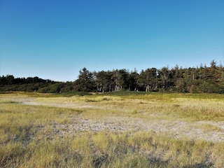 Ferienhaus Ebeltoft  38