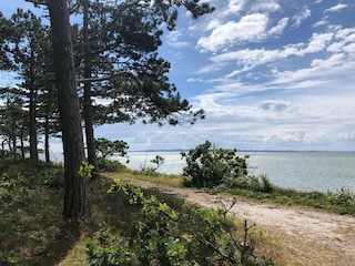 Ferienhaus Ebeltoft  35