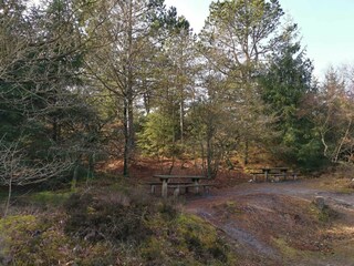 Vakantiehuis Blåvand  14