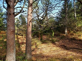 Vakantiehuis Blåvand  16