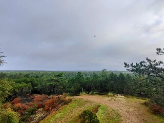 Vakantiehuis Blåvand  20