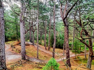 Vakantiehuis Blåvand  22
