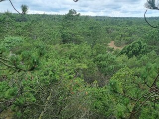 Vakantiehuis Blåvand  24