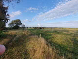 Casa per le vacanze Blåvand  19