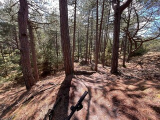 Ferienhaus Blåvand  37