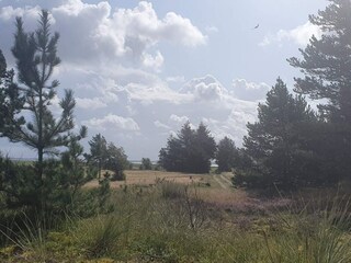 Ferienhaus Blåvand  39