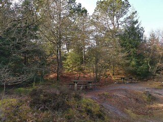 Ferienhaus Blåvand  12