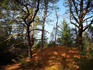 Ferienhaus Blåvand  13