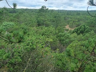 Ferienhaus Blåvand  15