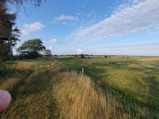 Ferienhaus Blåvand  16