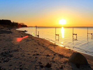 Ferienhaus Købingsmark  8