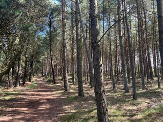 Maison de vacances Havneby  33