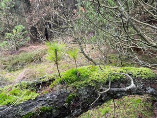 Vakantiehuis Havneby  12