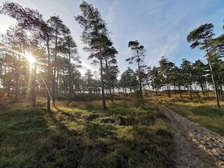 Ferienhaus Havneby  13