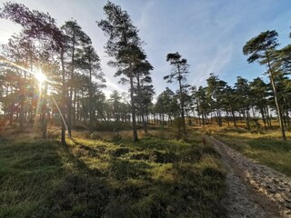 Vakantiehuis Havneby  10