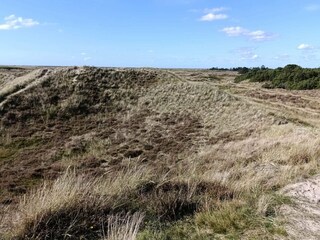 Casa per le vacanze Havneby  9