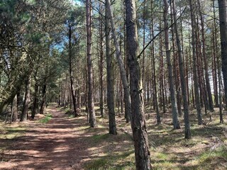 Casa per le vacanze Havneby  17