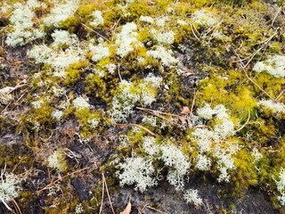 Casa per le vacanze Havneby  23