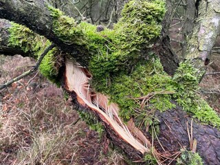 Casa per le vacanze Havneby  25