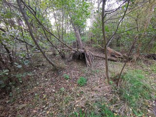 Maison de vacances Dannemare  20