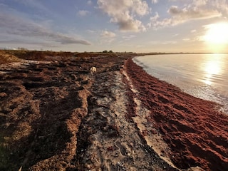 Ferienhaus Dannemare  7