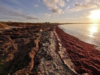 Holiday house Dannemare  25