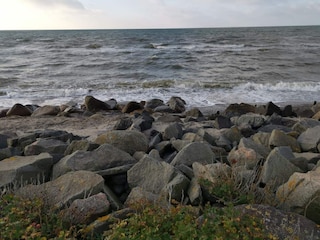 Vakantiehuis Dannemare  4