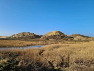 Ferienhaus Hirtshals  18