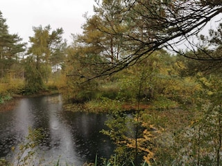 Ferienhaus Hirtshals  16