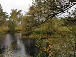 Ferienhaus Hirtshals  17