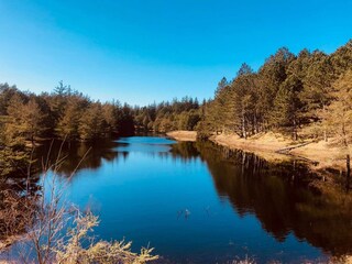 Ferienhaus Hirtshals  28