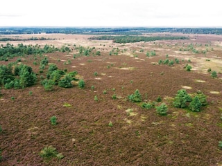 Ferienhaus Hovborg  42