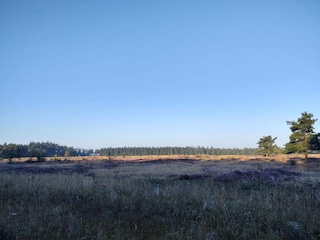 Ferienhaus Hovborg  12