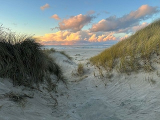 Ferienhaus Løkken  31