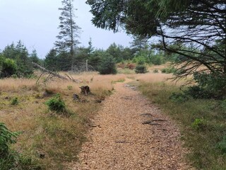 Holiday house Løkken  21