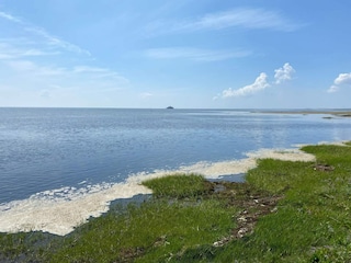 Ferienhaus Kongsmark  42